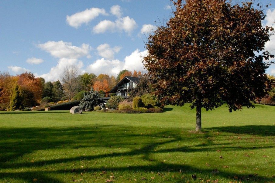 Herbstlandschaft mit Baum und modernem Gebäude Weite Wiese mit Baum und großzügigem, modernem Haus in der Natur