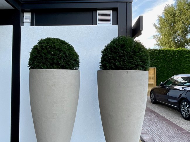 Moderne Pflanztöpfe vor einem modernen Haus Zwei große, runde Pflanztöpfe aus Beton vor einem modernen Gebäude