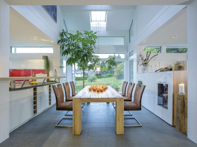 Heller Essbereich mit Holz-Tisch und Pflanzen im modernen Architektenhaus