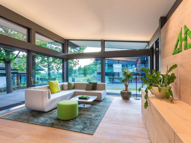 Helles Wohnzimmer mit eleganter Couch und Pflanzen