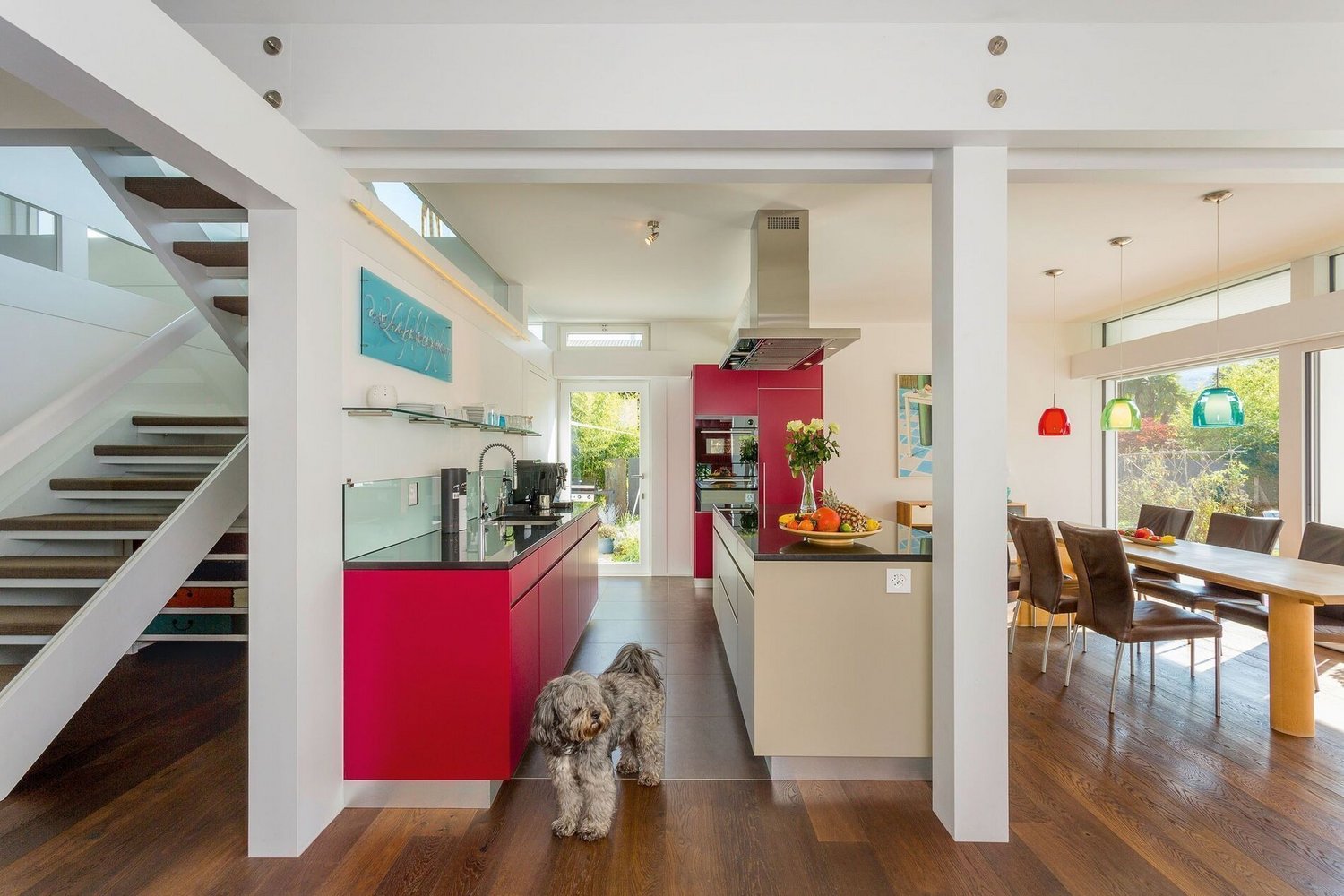 Moderne Küche in einem eleganten Haus mit Flachdach Ein Innenraum mit offener Küche und einem Hund, moderne Architektur