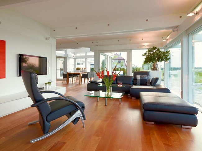 Stylische Wohnlandschaft aus Leder mit Pflanzen und TV im Raum