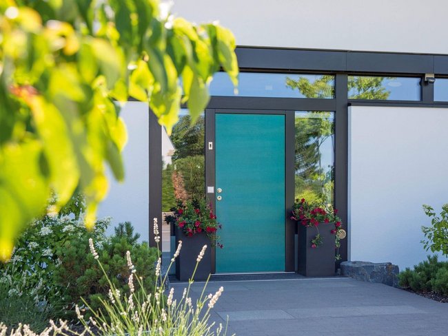 Stilvolle Eingangstür in moderner Architektur mit Pflanzen.
